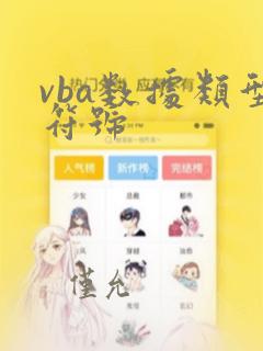 vba数据类型符号