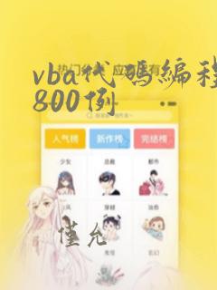 vba代码编程800例