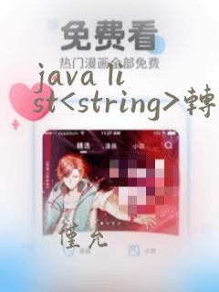 java list<string>转为string