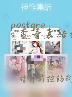 postgres 查看表结构