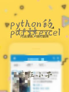 python的pdf转excel