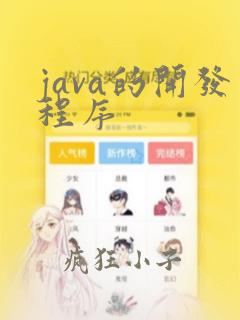 java的开发程序