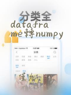 dataframe转numpy