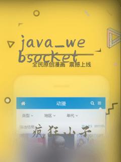 java_websocket