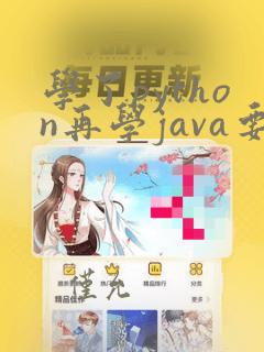 学了python再学java要多久