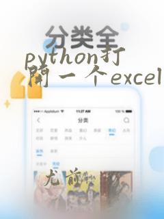 python打开一个excel文件