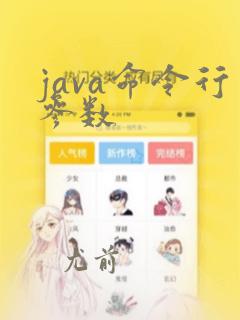 java命令行参数