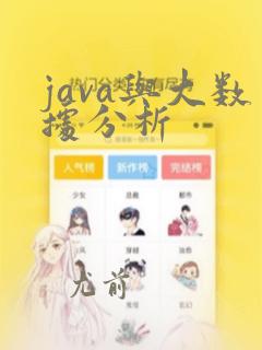 java与大数据分析