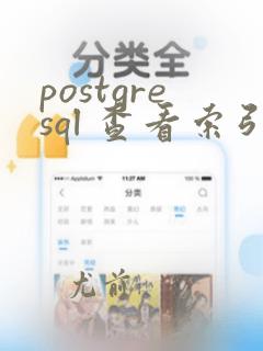 postgresql 查看索引