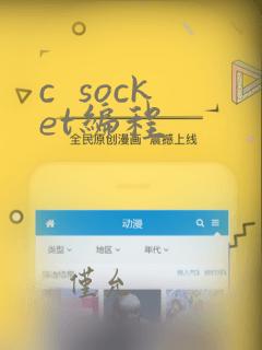 c socket编程