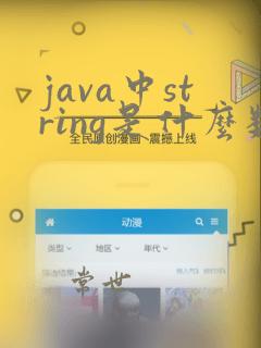 java中string是什么数据类型