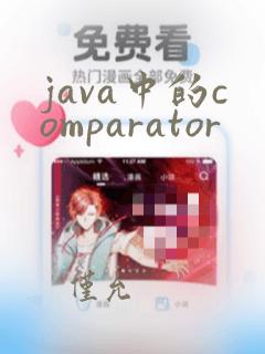 java中的comparator