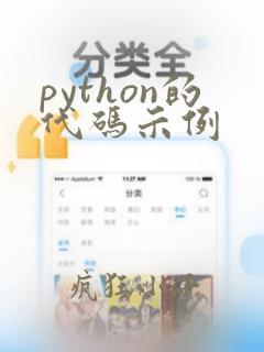 python的代码示例