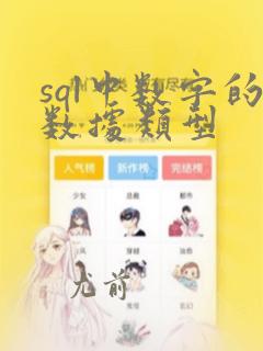 sql中数字的数据类型