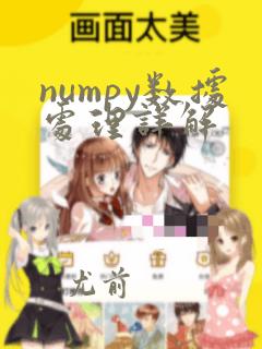 numpy数据处理详解
