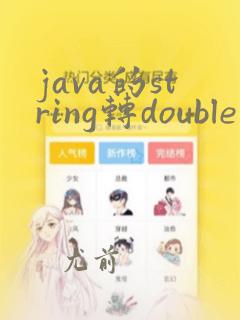 java的string转double