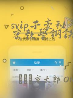 svip子豪秘密教学钢铁网：结局+番外