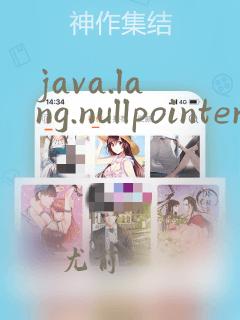 java.lang.nullpointerexception 翻译