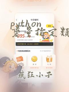 python 变量指定类型