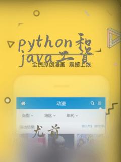 python和java工资