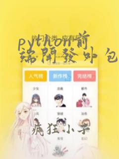 python前端开发外包