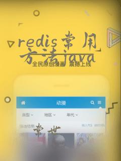 redis常用方法java