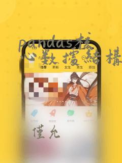 pandas核心数据结构