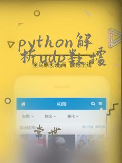 python解析udp数据