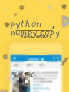 python numpy copy