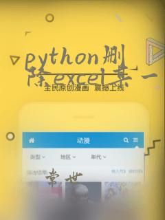 python删除excel某一列