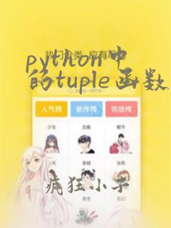 python中的tuple函数
