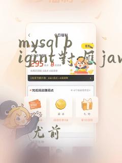 mysql bigint对应java