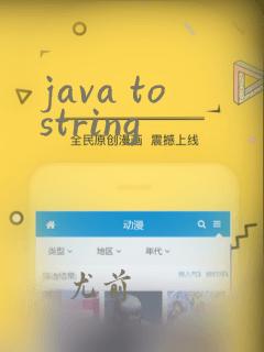 java tostring
