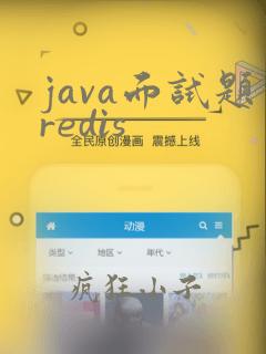 java面试题redis