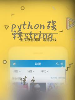 python强转string