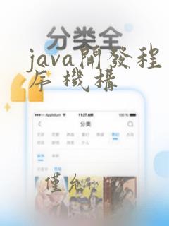 java开发程序 机构