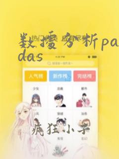 数据分析pandas