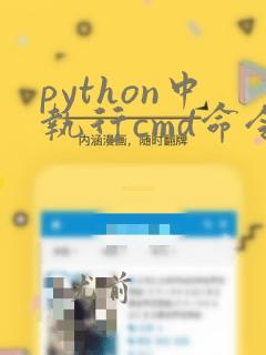 python中执行cmd命令