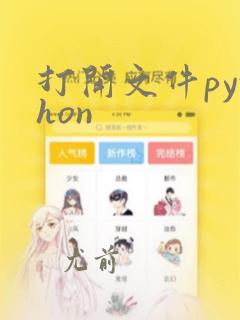 打开文件python