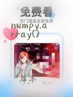 numpy.array()