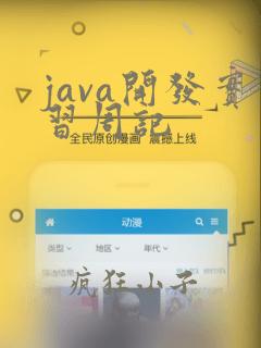 java开发实习周记