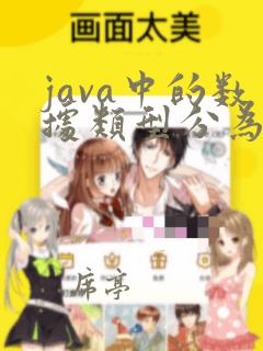 java中的数据类型分为哪两大类
