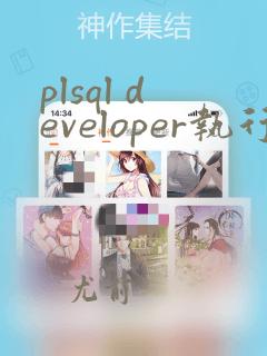 plsql developer执行sql文件