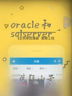 oracle和sqlserver