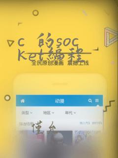 c 的socket编程