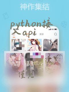 python接入api