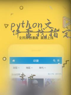 python文件查找指定字符串