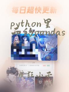 python里面的pandas