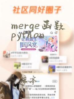 merge函数python