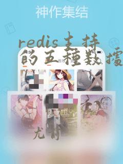 redis支持的五种数据类型